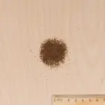 Fleurs - Digitale Excelsior Variée - MEDIA_3D